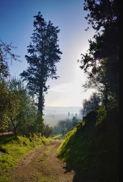Agriturismo La Pineta ฟูเชคคิโอ ภายนอก รูปภาพ