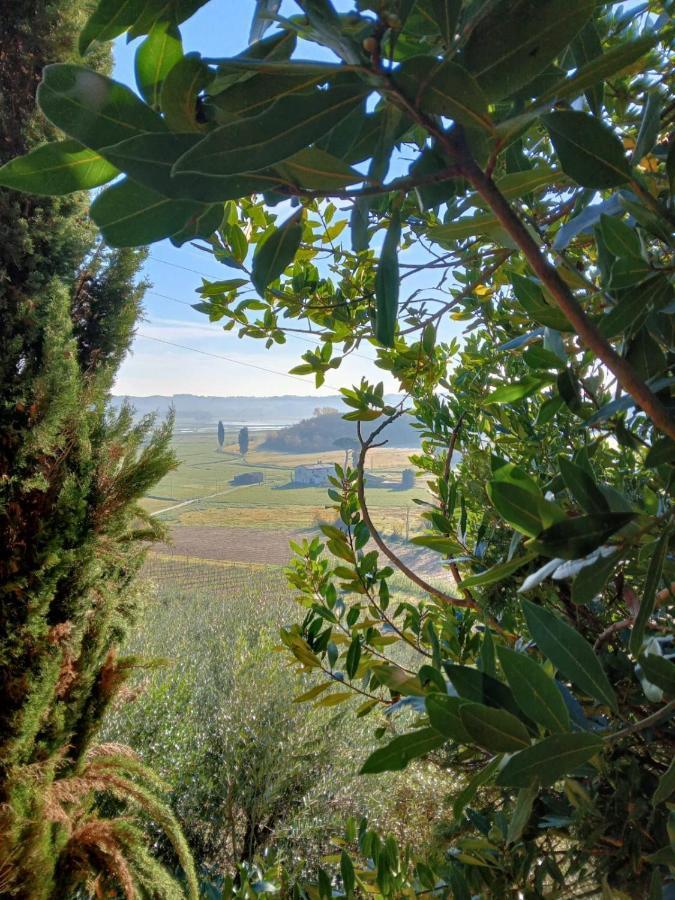 Agriturismo La Pineta ฟูเชคคิโอ ภายนอก รูปภาพ